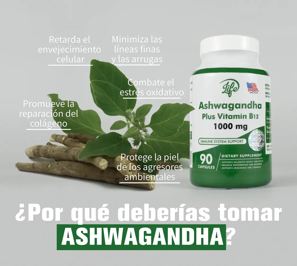 gid://shopify/MediaImage/24692391936094